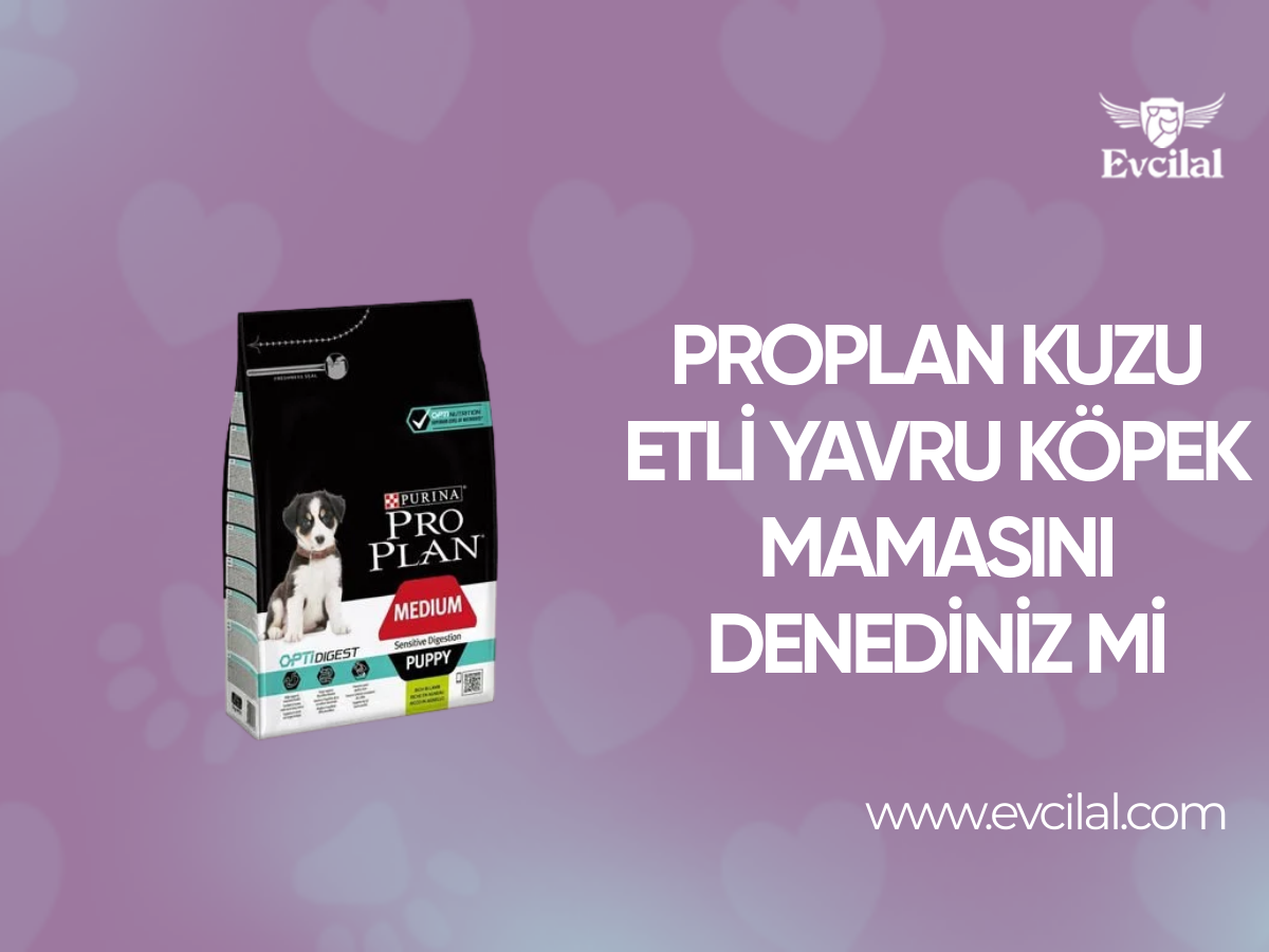 Proplan Kuzu Etli Yavru Köpek Mamasını Denediniz Mi?
