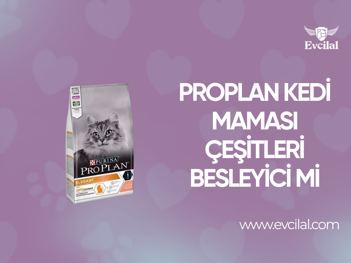 Proplan Kedi Maması Çeşitleri Besleyici mi