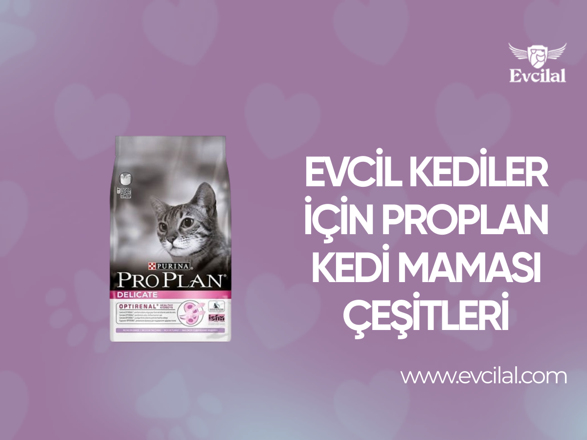 Evcil Kediler İçin Proplan Kedi Maması Çeşitleri