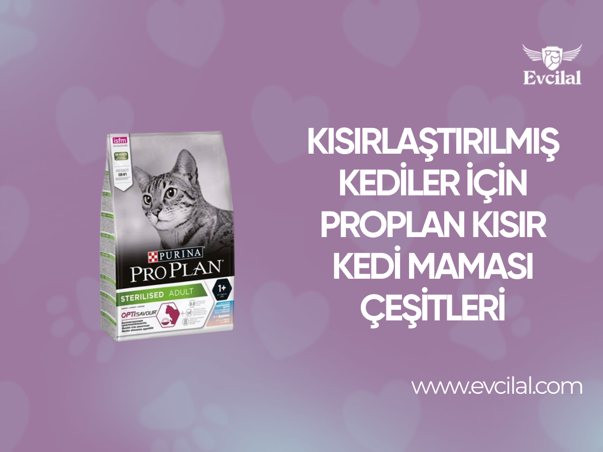 Kısırlaştırılan Kedilerin Sağlıklarının Korunması İçin Kullanılan Proplan Kısır Kedi Maması Çeşitleri