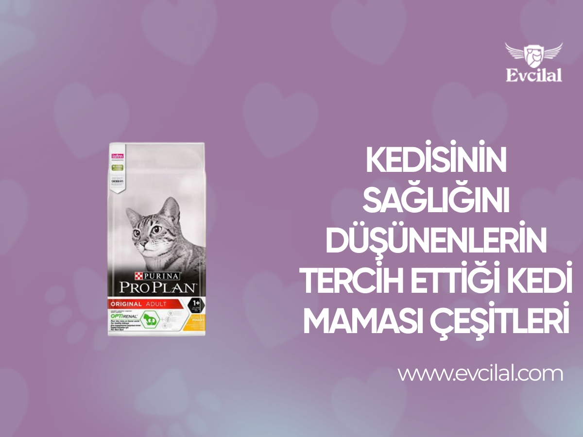 Kedisinin Sağlığını Düşünenlerin Tercih Ettiği Kedi Maması Çeşitleri