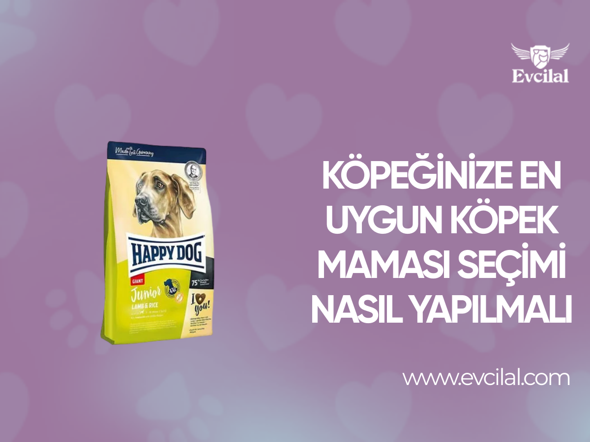 Köpeğinize En Uygun Köpek Maması Seçimi Nasıl Yapılmalı