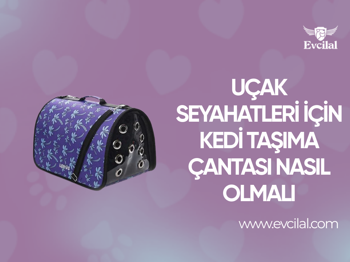 Uçak Seyahatleri İçin Kedi Taşıma Çantası Nasıl Olmalı