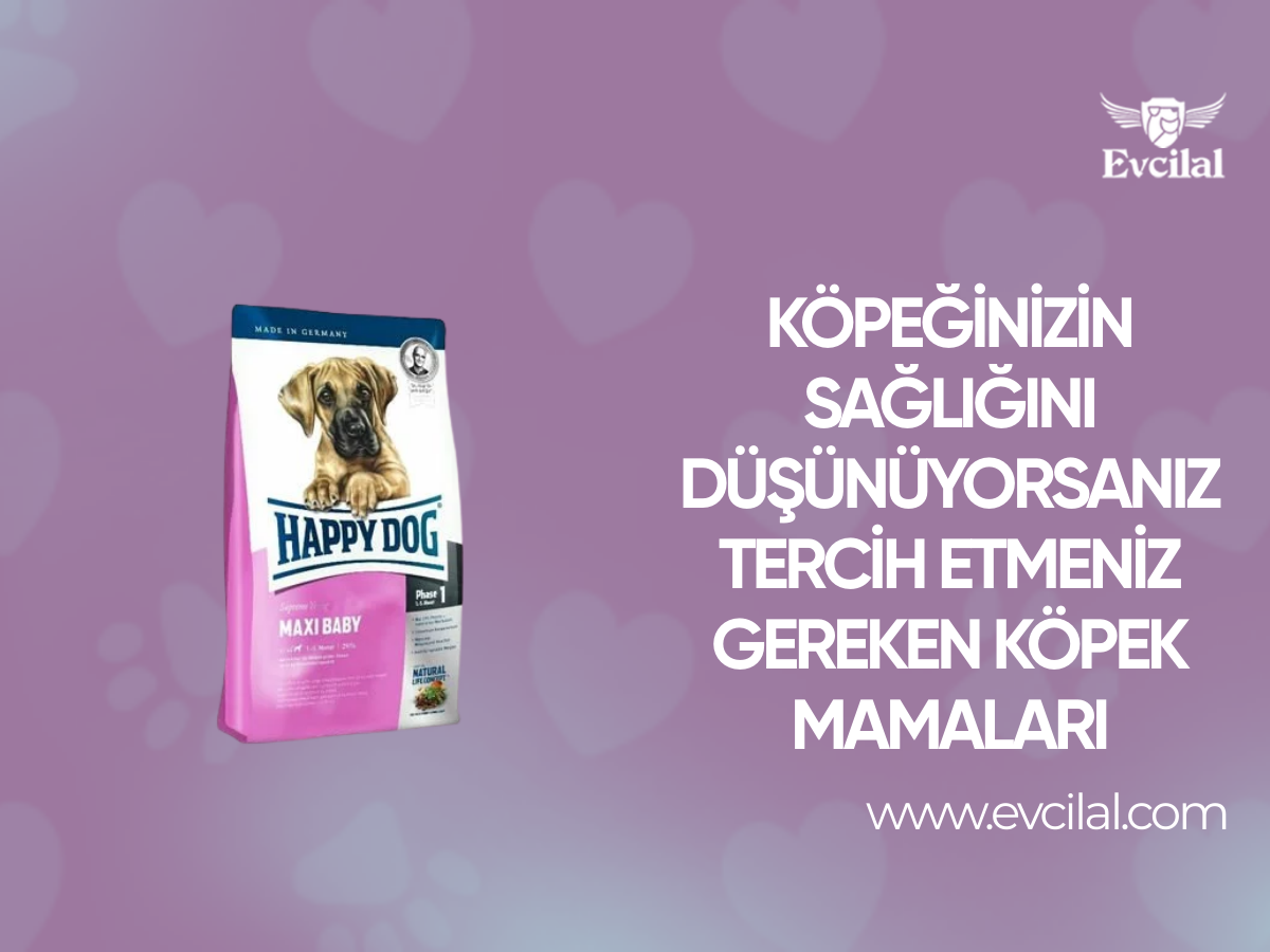 Köpeğinizin Sağlığını Düşünüyorsanız Tercih Etmeniz Gereken Köpek Mamaları
