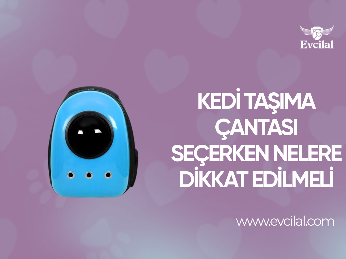 Kedi Taşıma Çantası Seçerken Nelere Dikkat Edilmeli