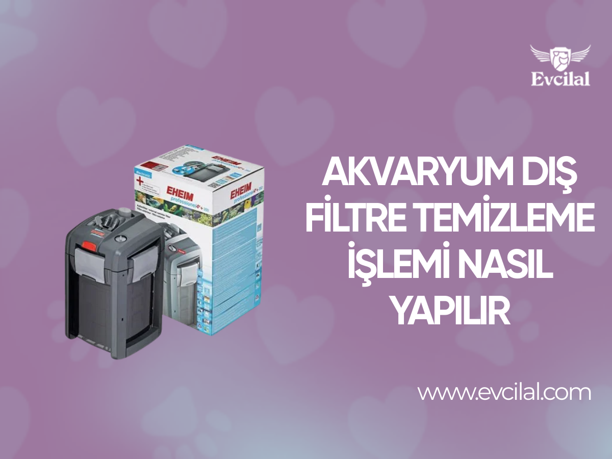 Akvaryum Dış Filtre Temizleme İşlemi Nasıl Yapılır