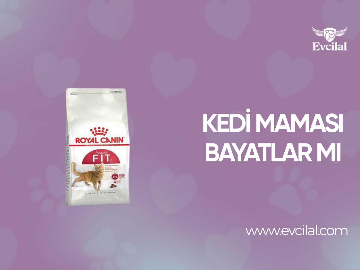 Kedi Maması Bayatlar Mı