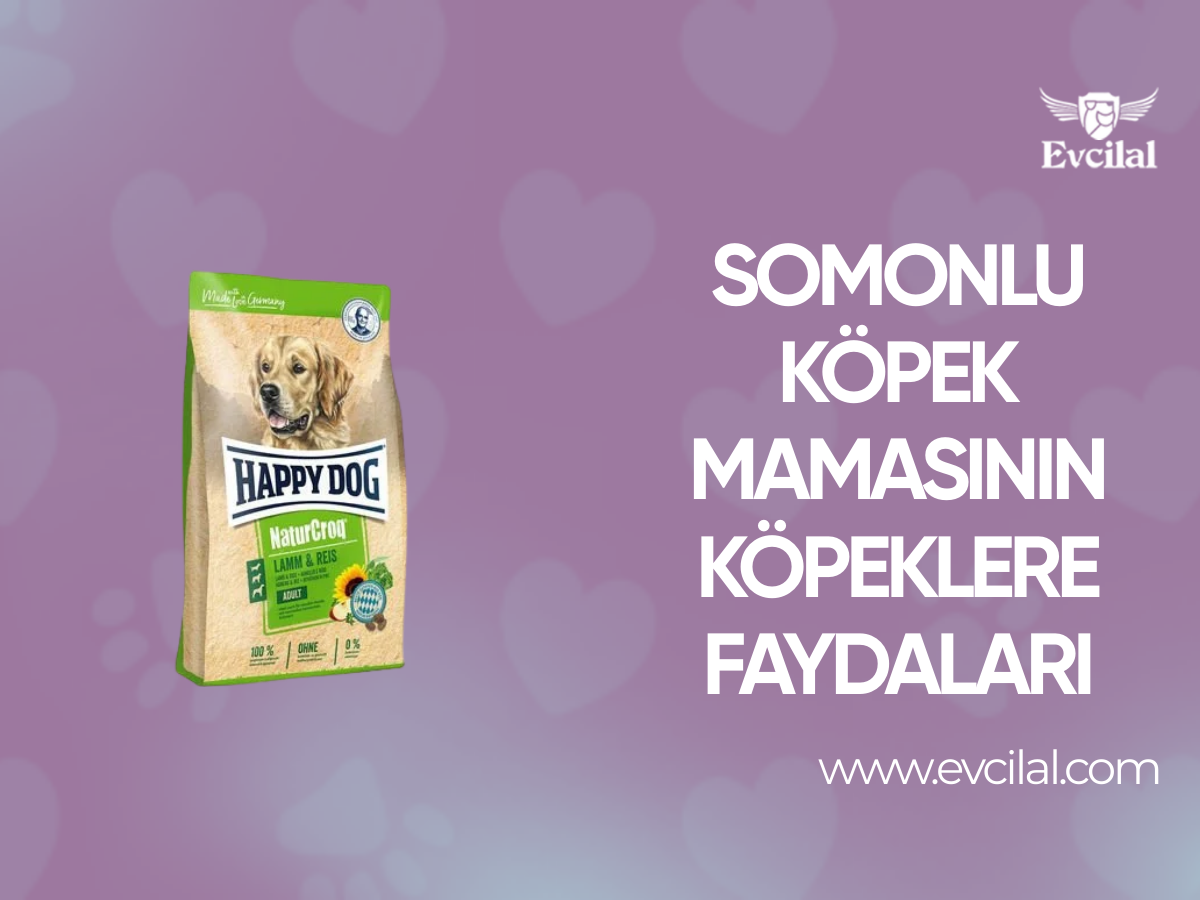 Somonlu Köpek Mamasının Köpeklere Faydaları