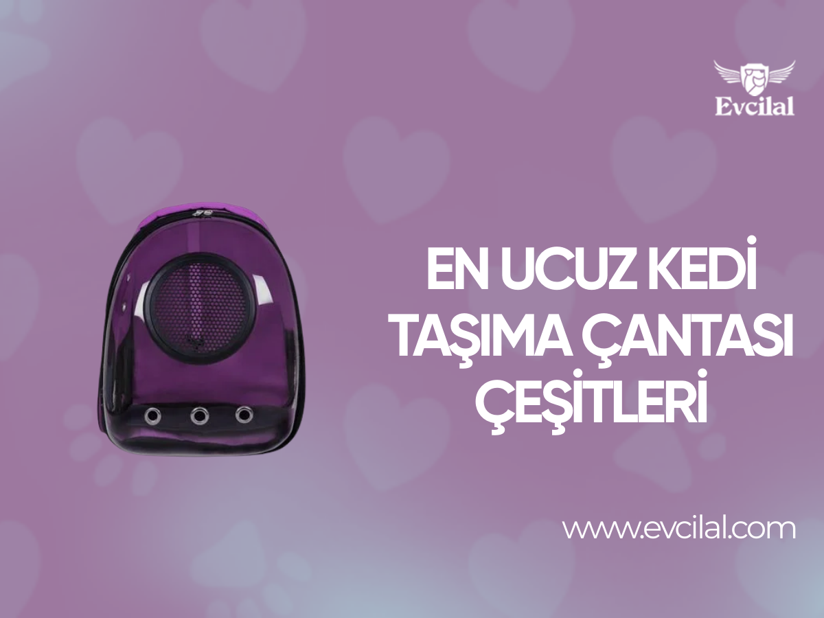 En Ucuz Kedi Taşıma Çantası Çeşitleri