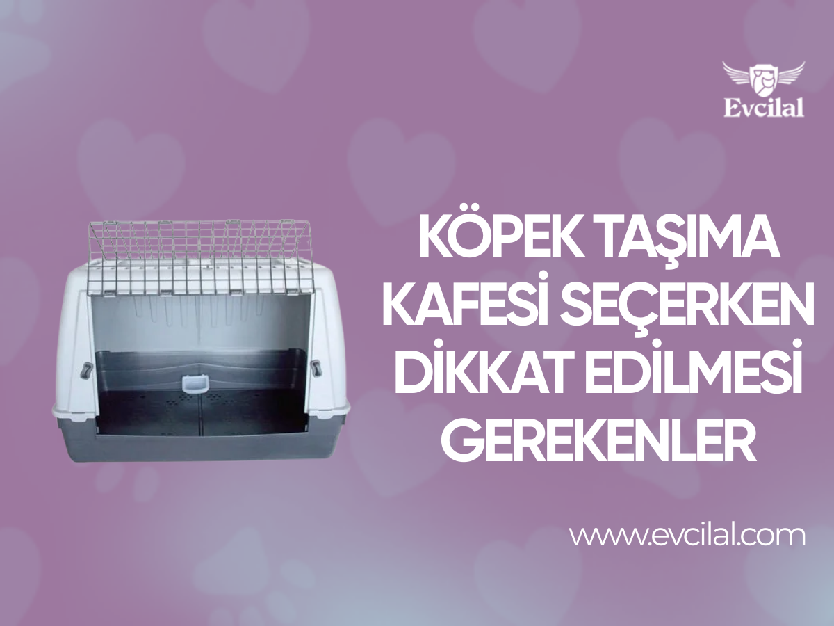 Köpek Taşıma Kafesi Seçerken Dikkat Edilmesi Gerekenler