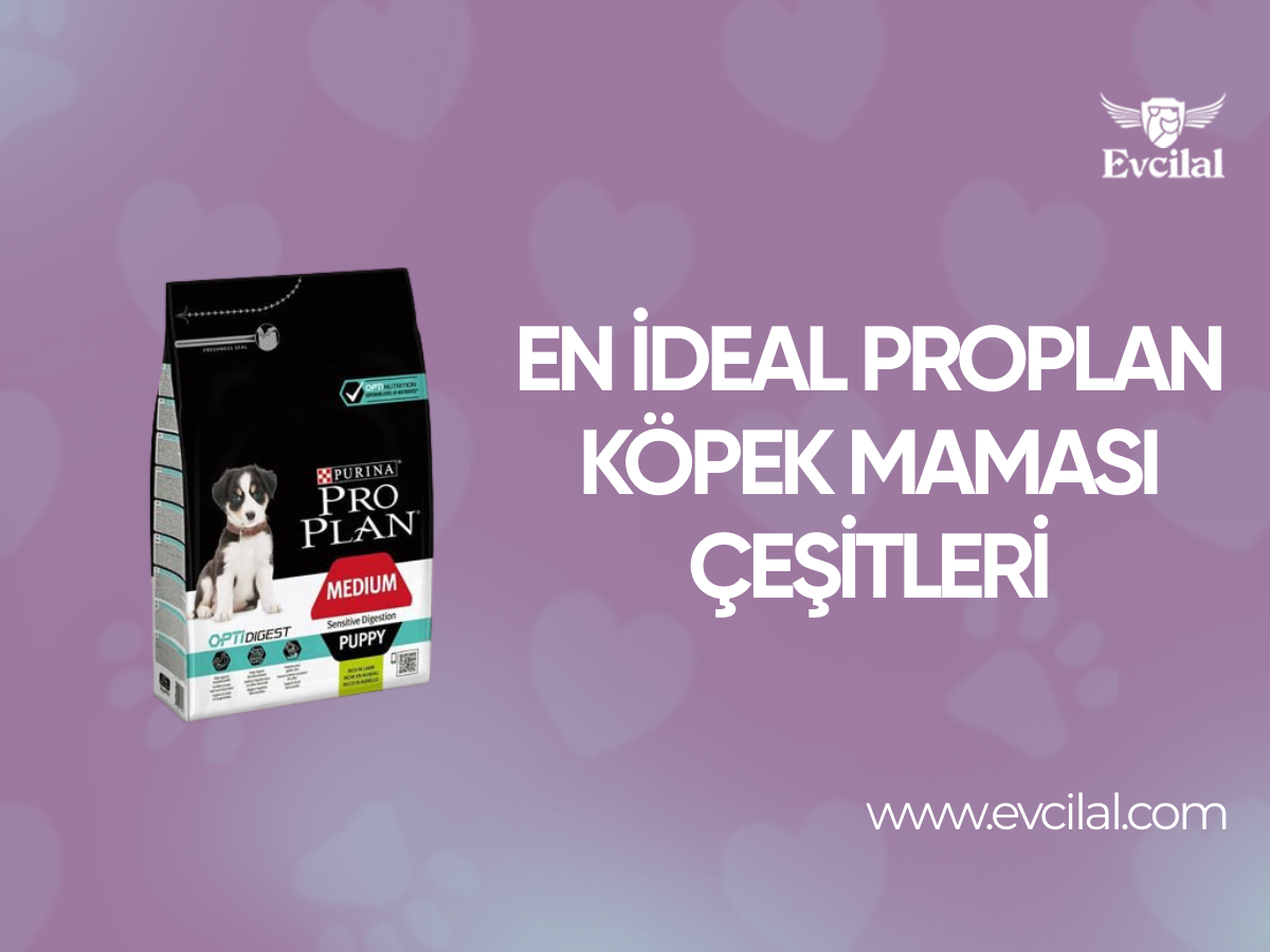 Köpeğinizin Sağlığı İçin Tercih Edebileceğiniz Proplan Köpek Maması Çeşitleri