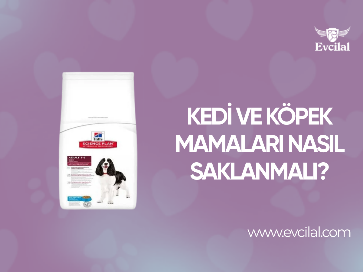 Kedi ve Köpek Mamaları Nasıl Saklanmalı?