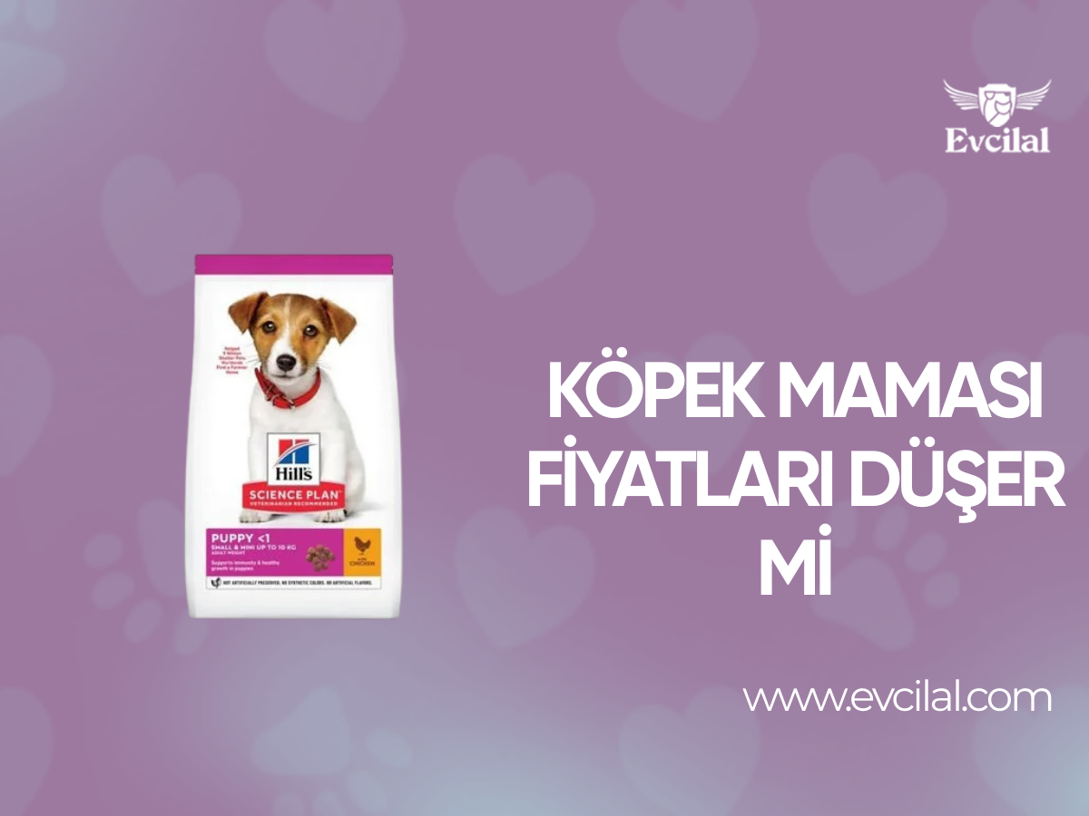 Köpek Maması Fiyatları Düşer Mi