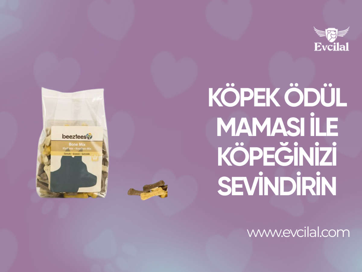 Köpek Ödül Maması İle Köpeğinizi Sevindirin