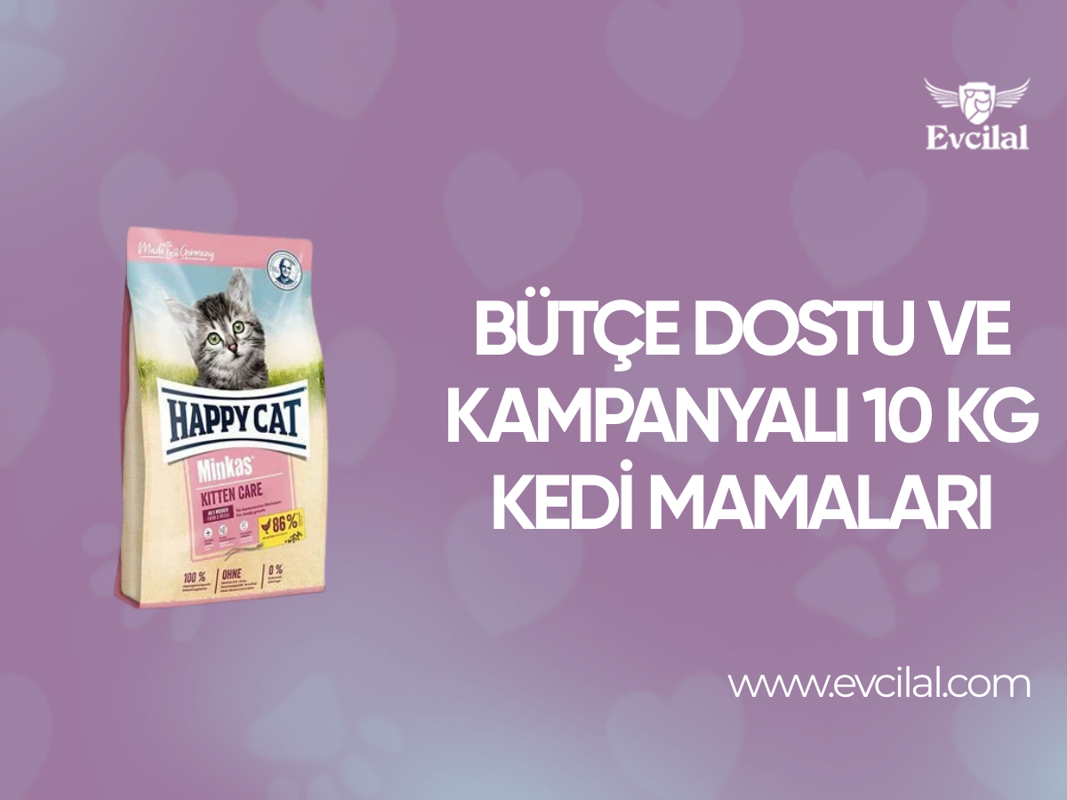 Bütçe Dostu ve Kampanyalı 10 Kg Kedi Mamaları