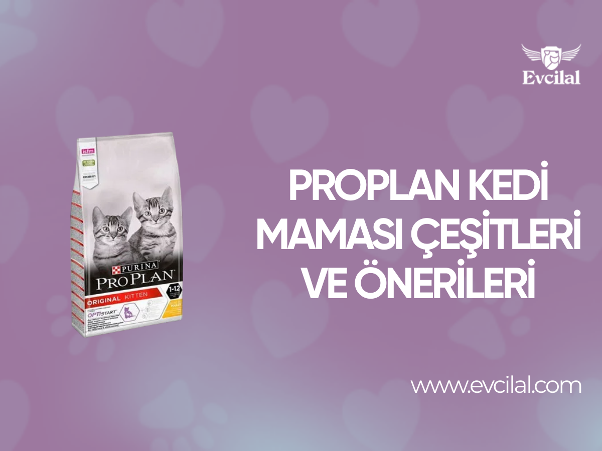 Proplan Kedi Maması Çeşitleri ve Önerileri