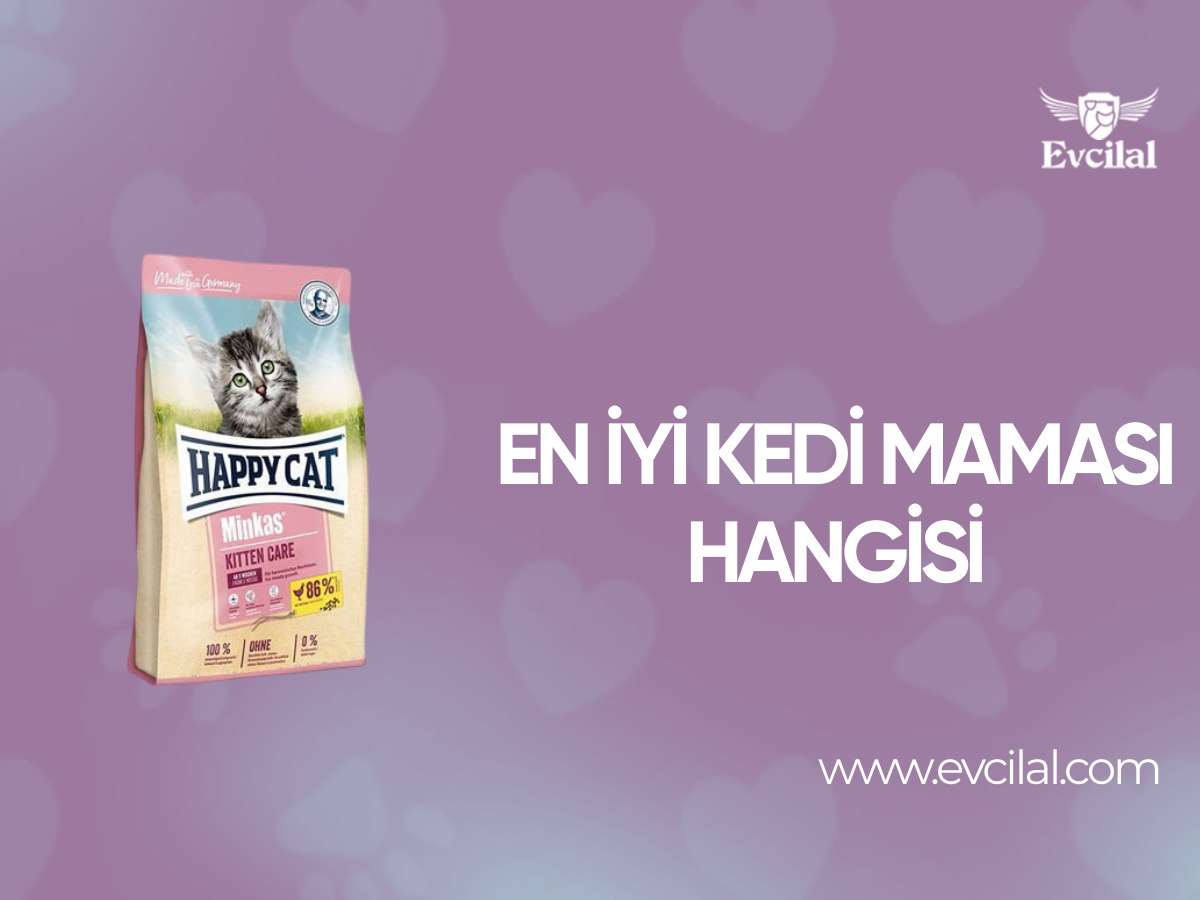 En İyi Kedi Maması Hangisi
