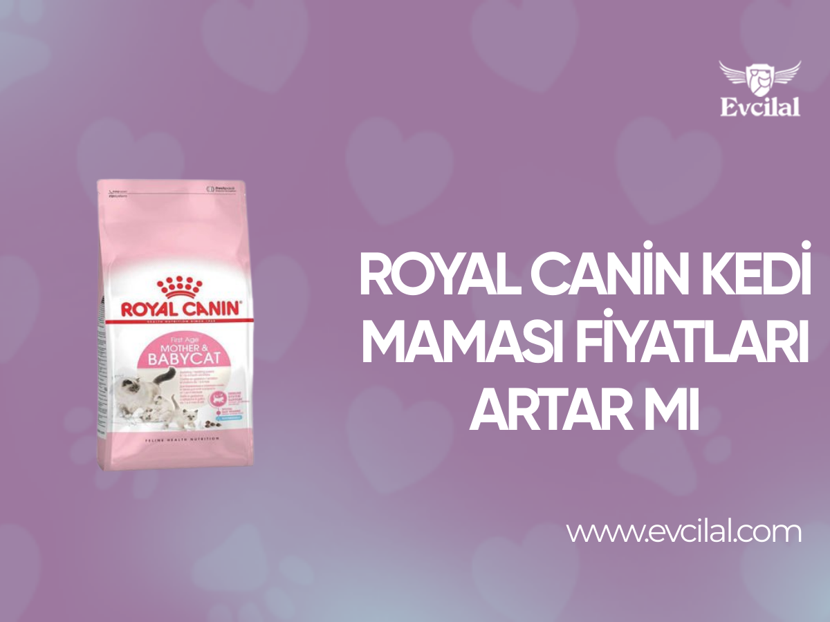 Royal Canin Kedi Maması Fiyatları Artar Mı?