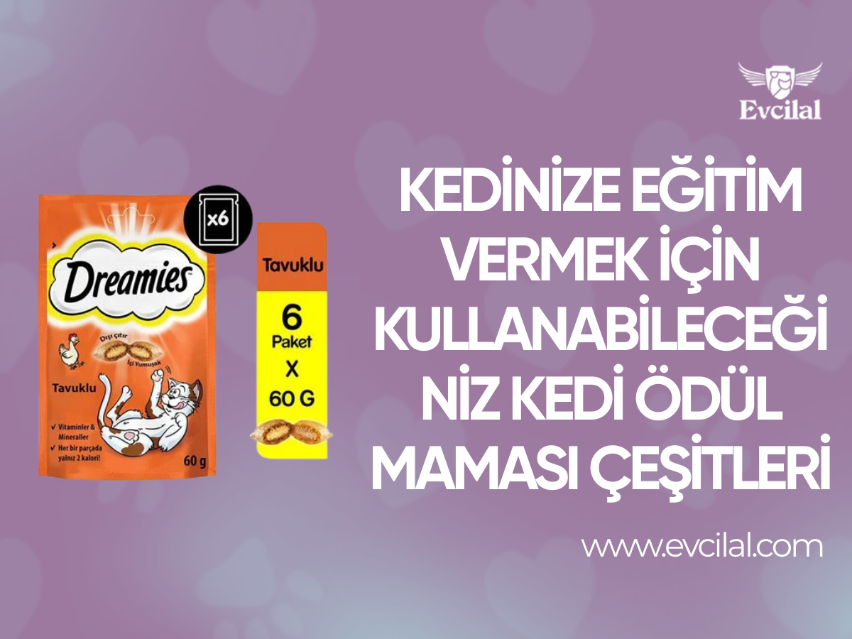 Kedinize Eğitim Vermek İçin Kullanabileceğiniz Kedi Ödül Maması Çeşitleri