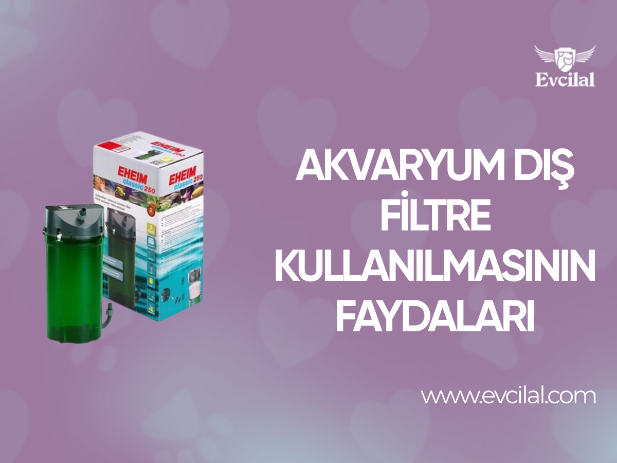 Akvaryum Dış Filtre Kullanılmasının Faydaları