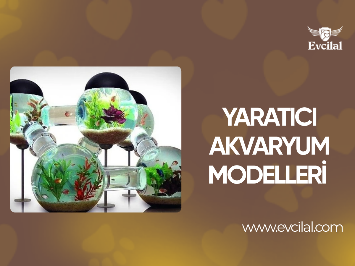 Yaratıcılığı İle Kendine Hayran Bırakan İlginç Akvaryum Modelleri