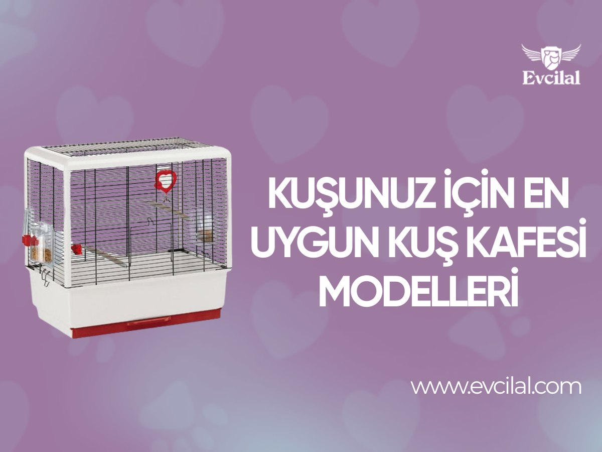 Kuşunuz İçin En Uygun Kuş Kafesi Modelleri