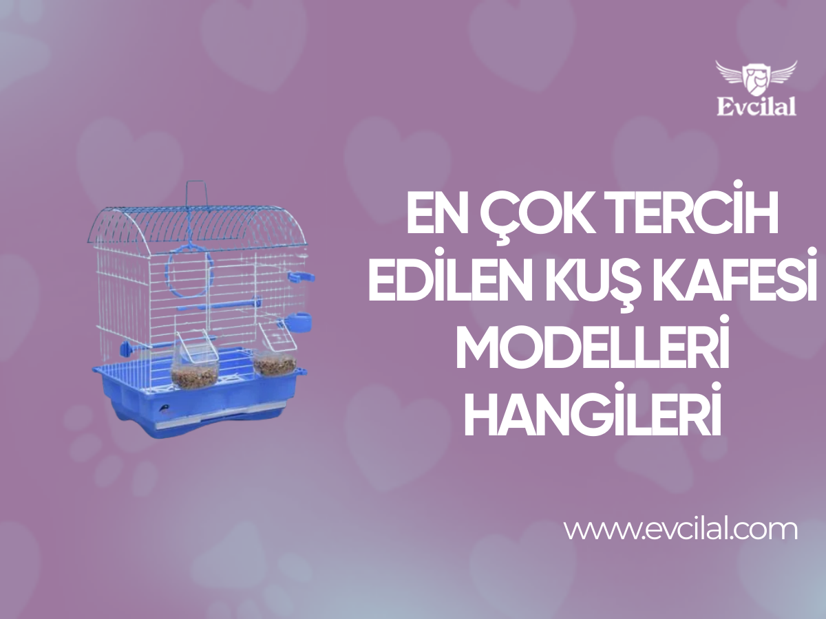 En Çok Tercih Edilen Kuş Kafesi Modelleri Hangileri