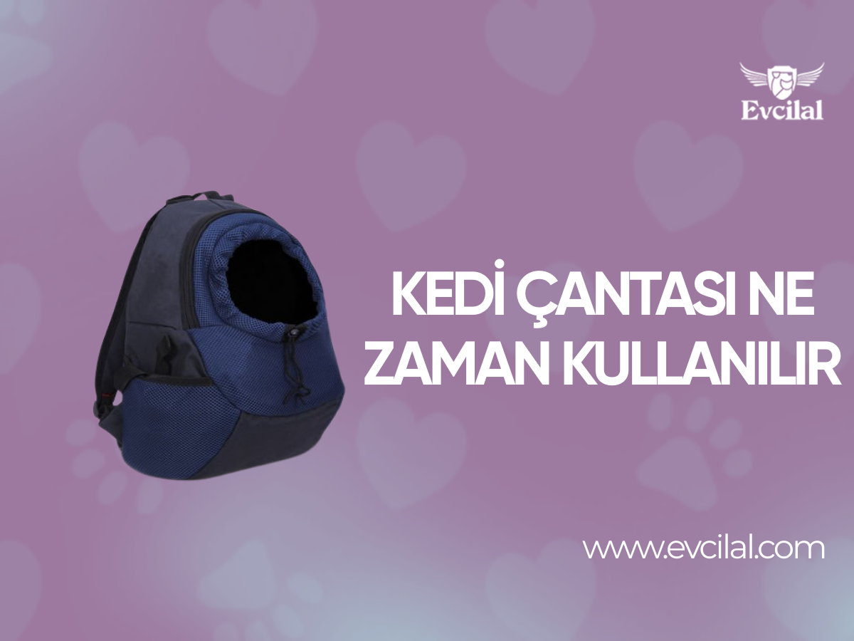 Kedi Çantası Ne Zaman Kullanılır