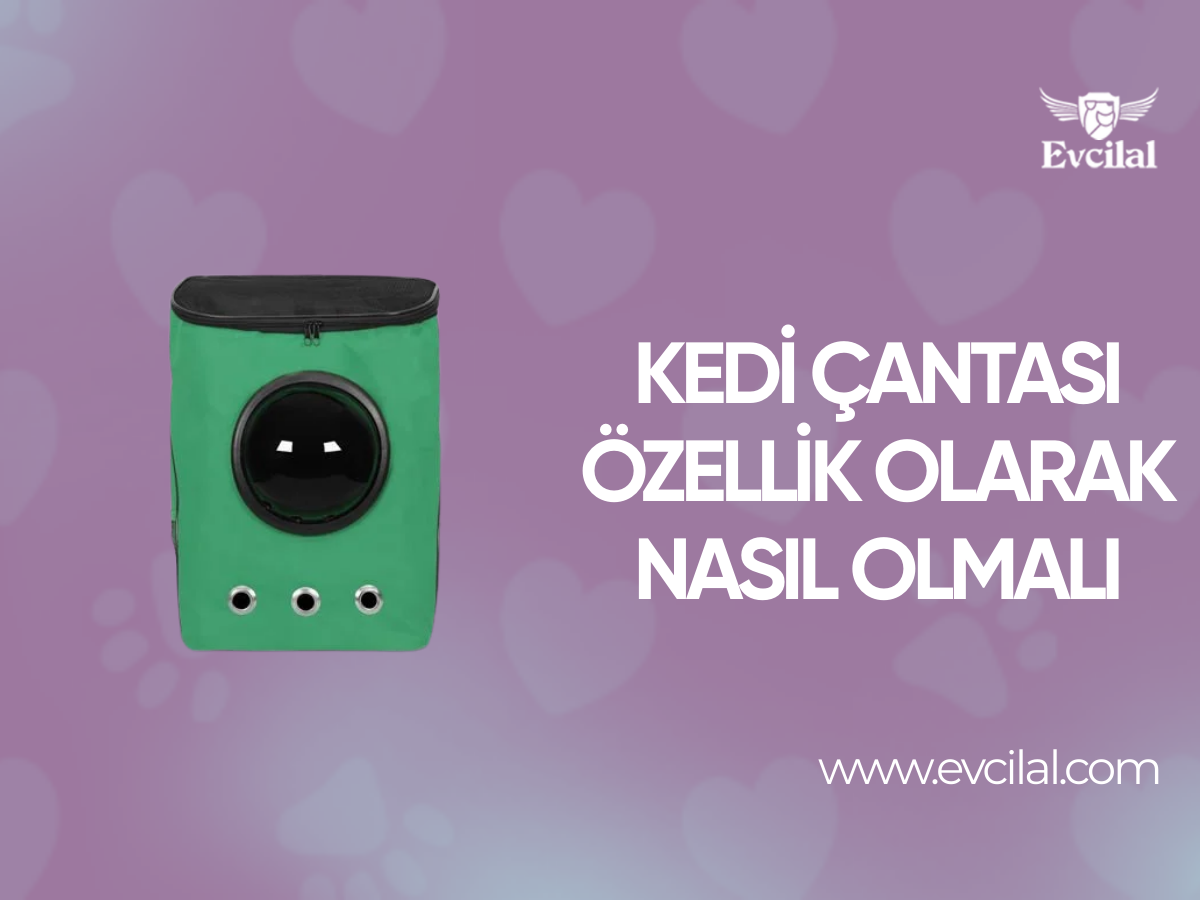 Kedi Çantası Özellik Olarak Nasıl Olmalı