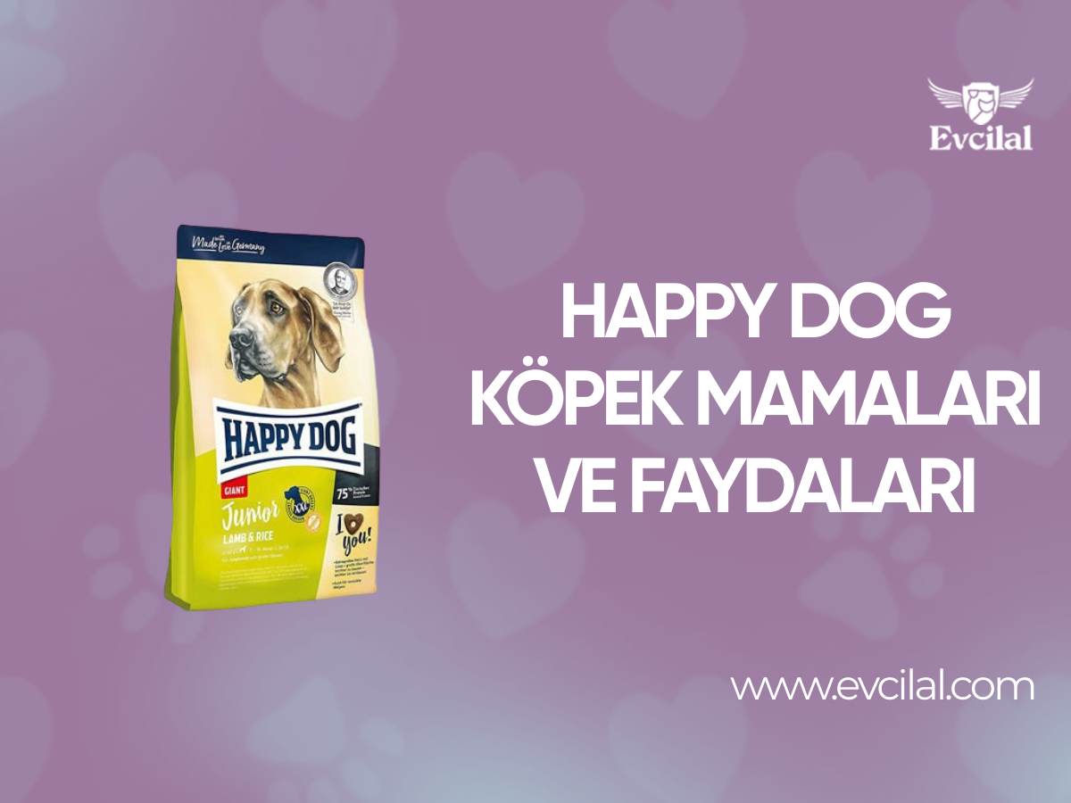 Happy Dog Köpek Mamaları ve Faydaları
