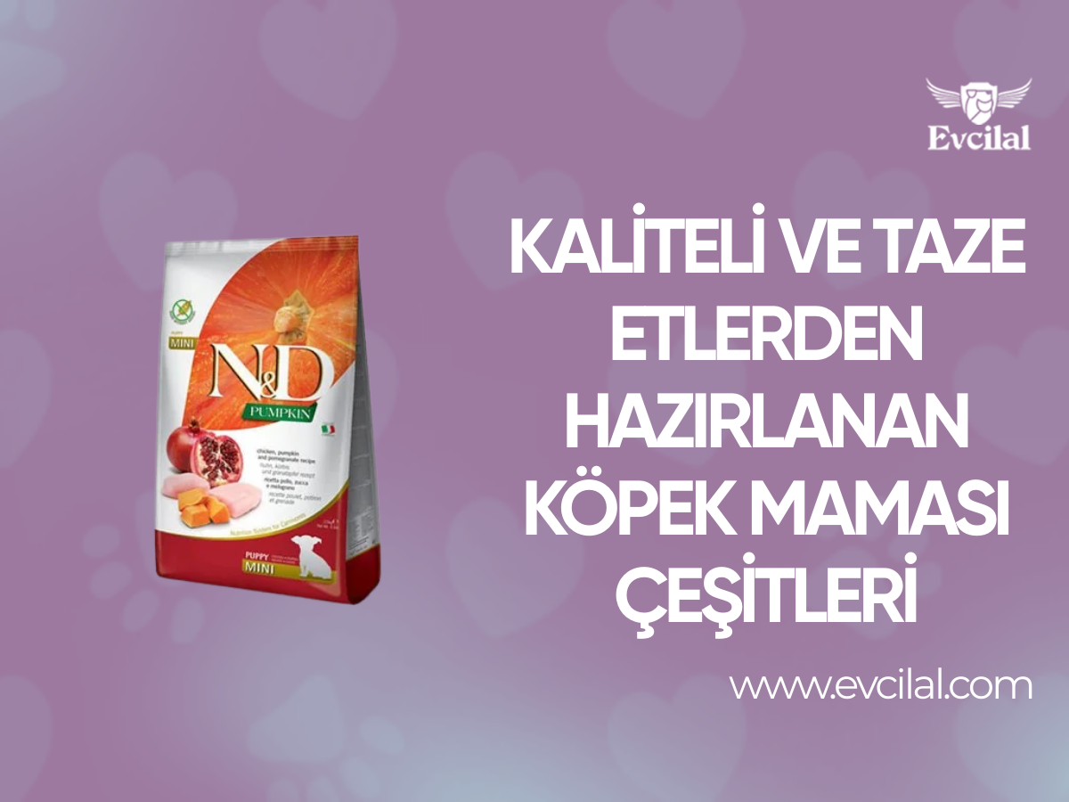 Kaliteli ve Taze Etlerden Hazırlanan Köpek Maması Çeşitleri