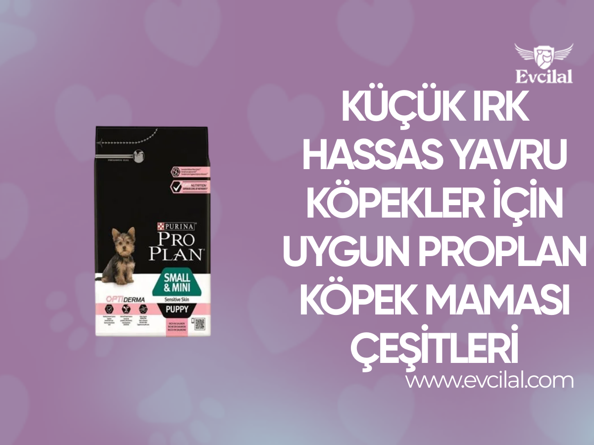 Küçük Irk Hassas Yavru Köpekler İçin Uygun Proplan Köpek Maması Çeşitleri