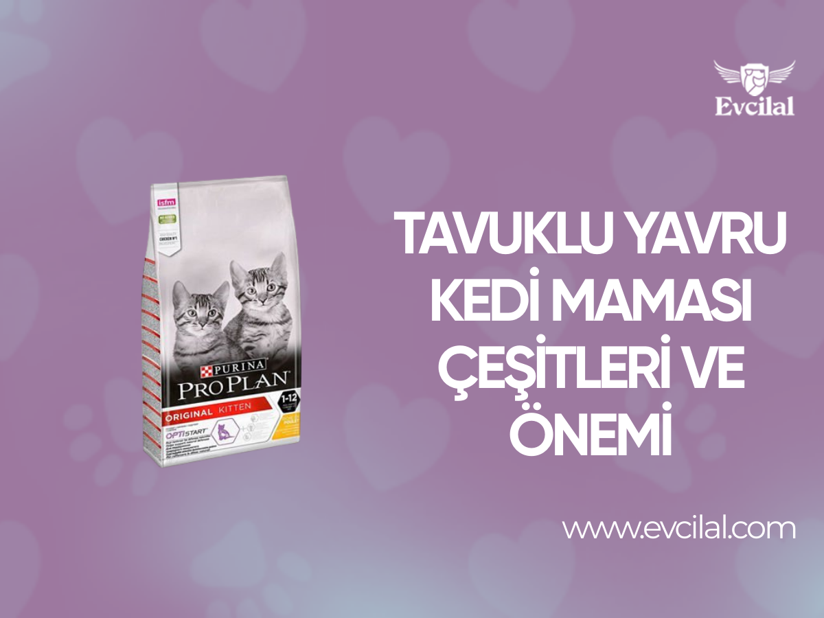 Mini Irk Yetişkin Köpekler İçin  Diyet Köpek Maması Çeşitleri