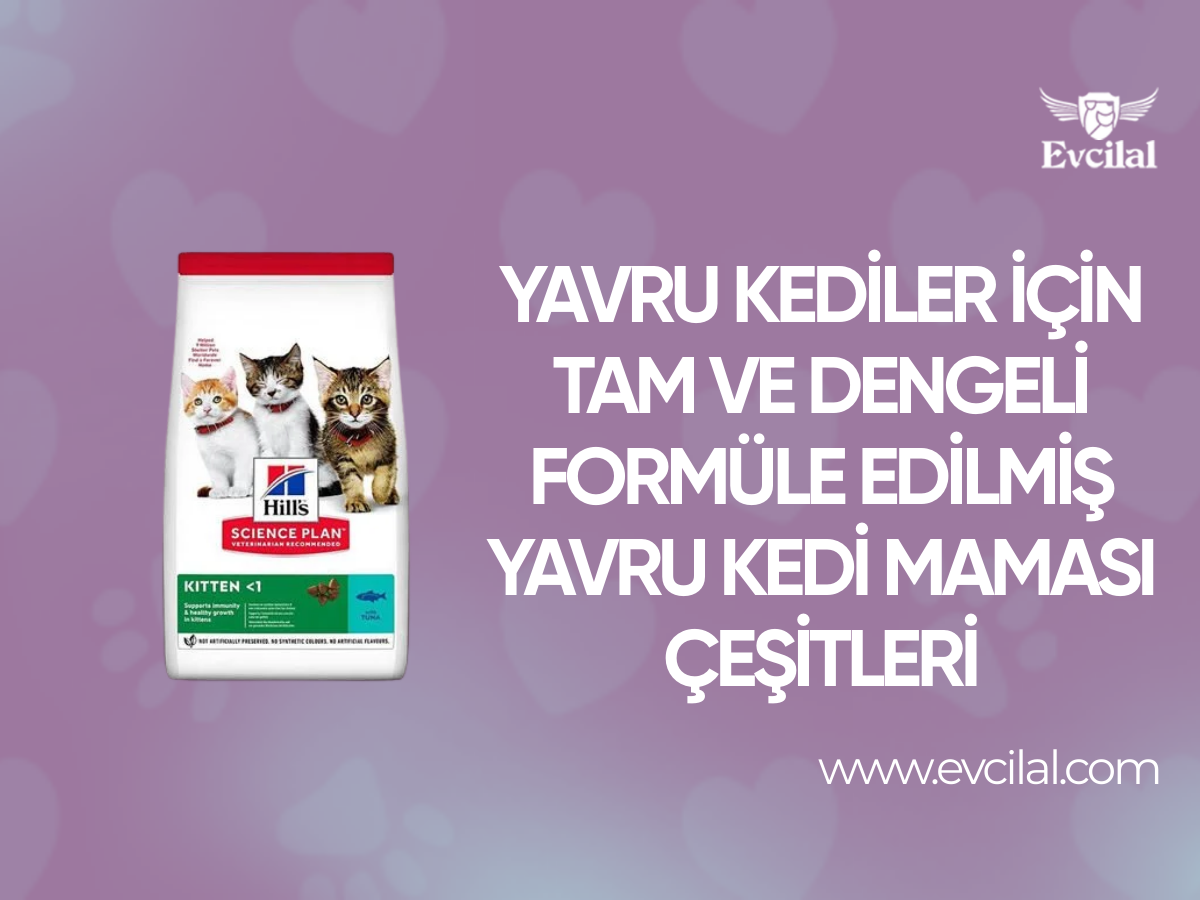 Yavru Kediler İçin Tam ve Dengeli Formüle Edilmiş Yavru Kedi Maması Çeşitleri