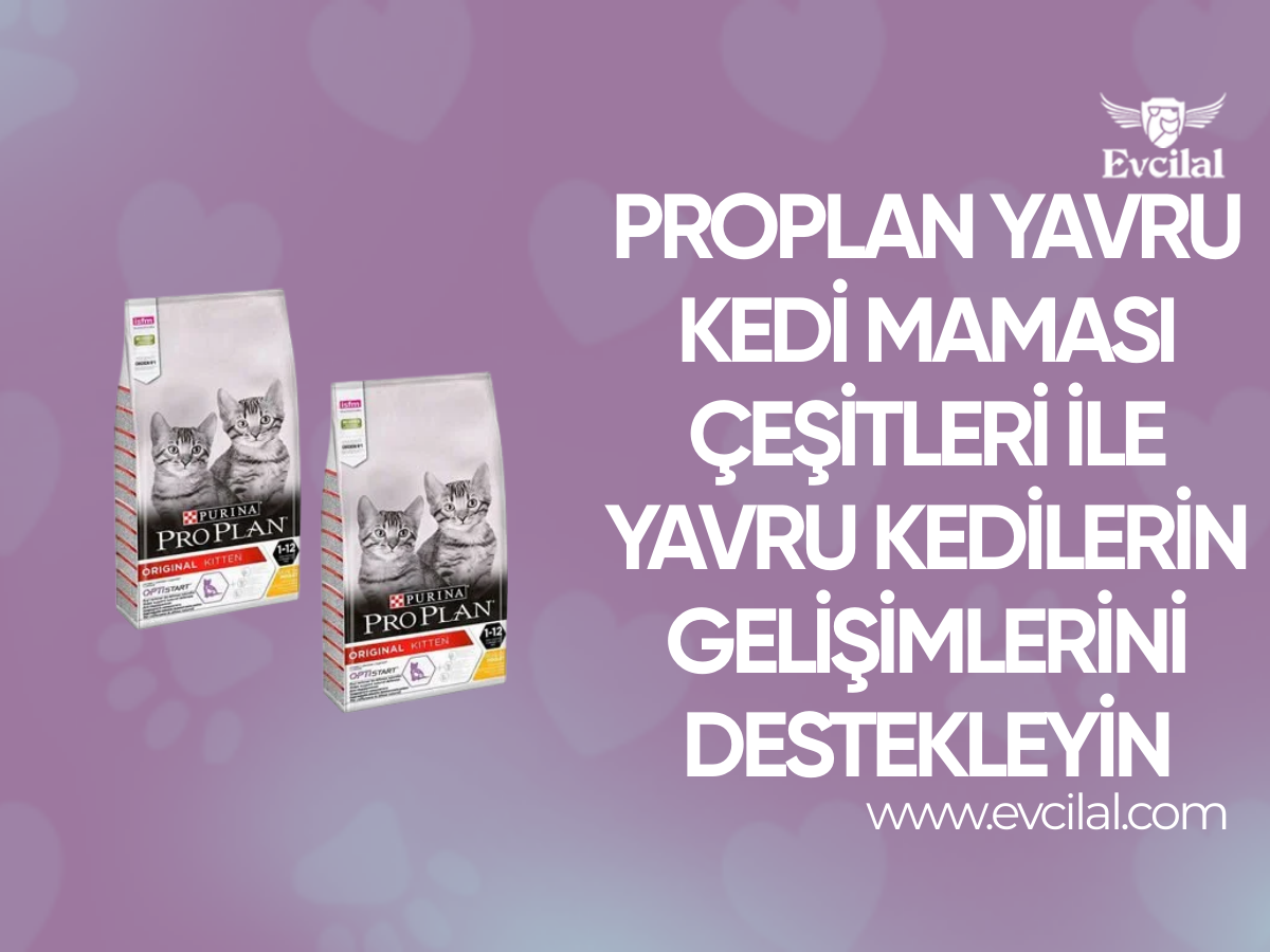 Proplan Yavru Kedi Maması Çeşitleri İle Yavru Kedilerin Gelişimlerini Destekleyin