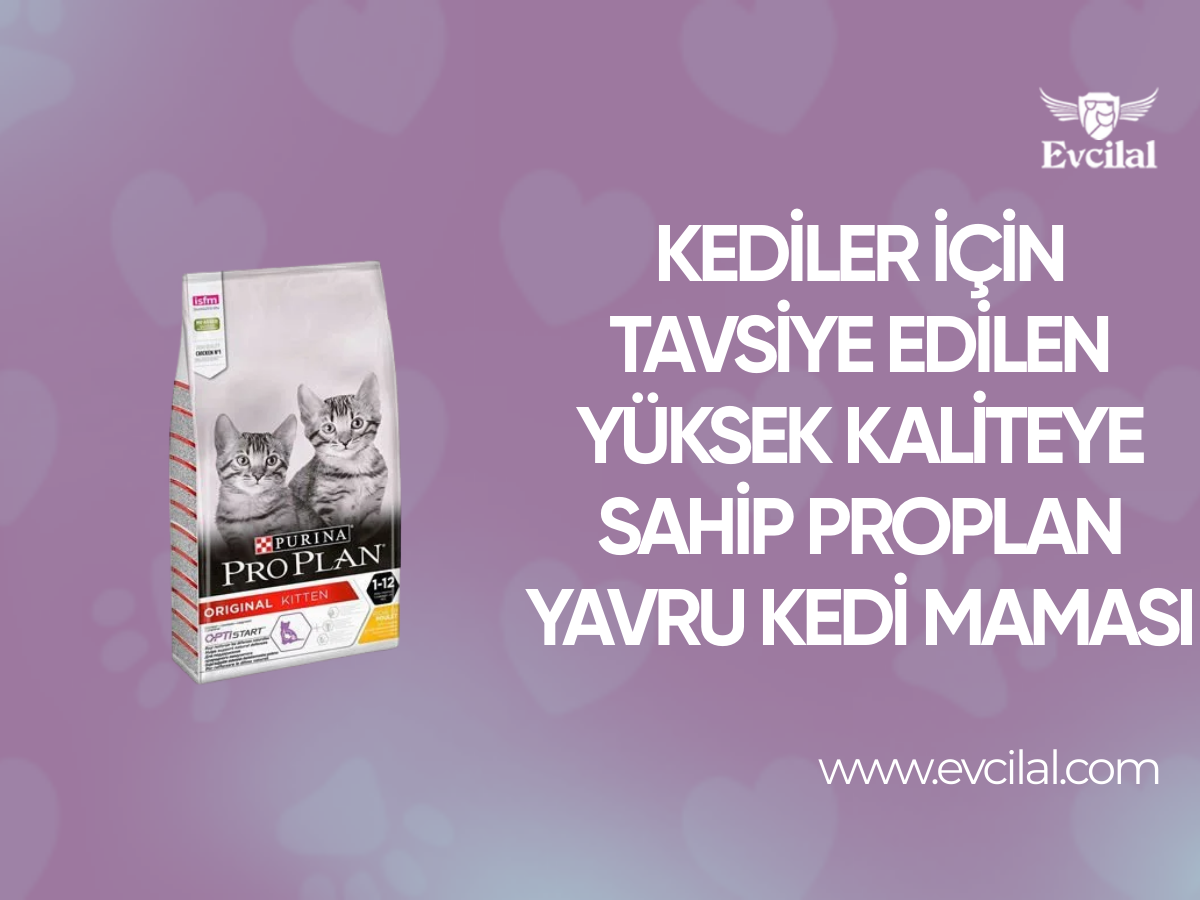 Kediler İçin Tavsiye Edilen Yüksek Kaliteye Sahip Proplan Yavru Kedi Maması