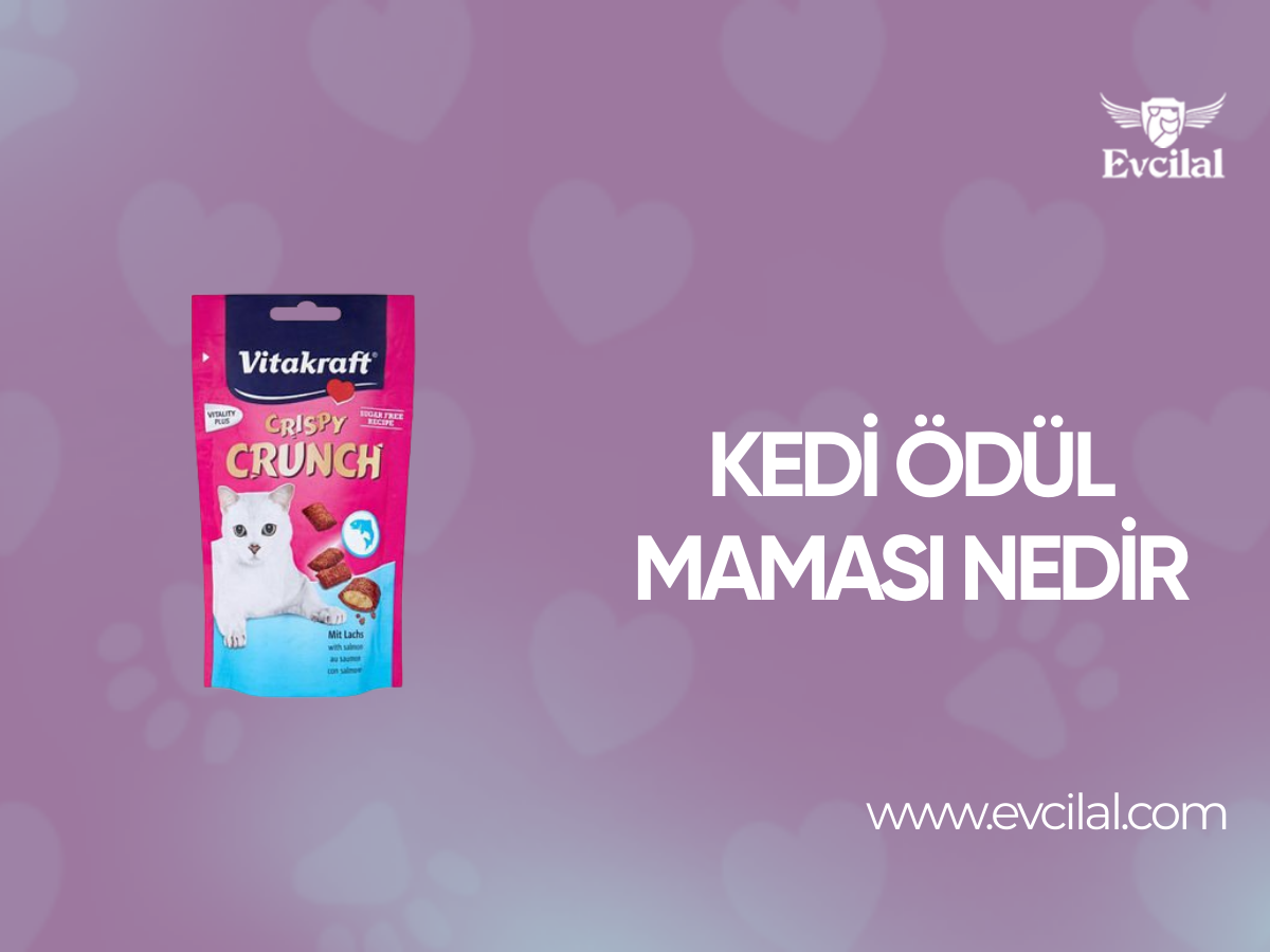 Kedi Ödül Maması Nedir?