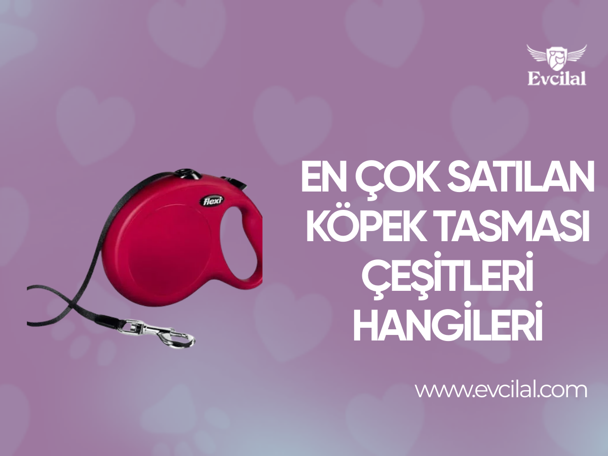 En Çok Satılan Köpek Tasması Çeşitleri Hangileri