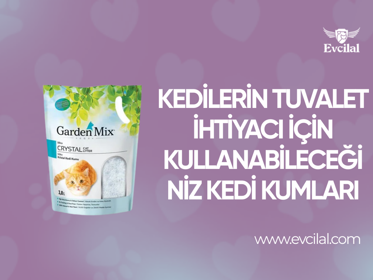 Kedilerin Tuvalet İhtiyacı İçin Kullanabileceğiniz Kedi Kumları