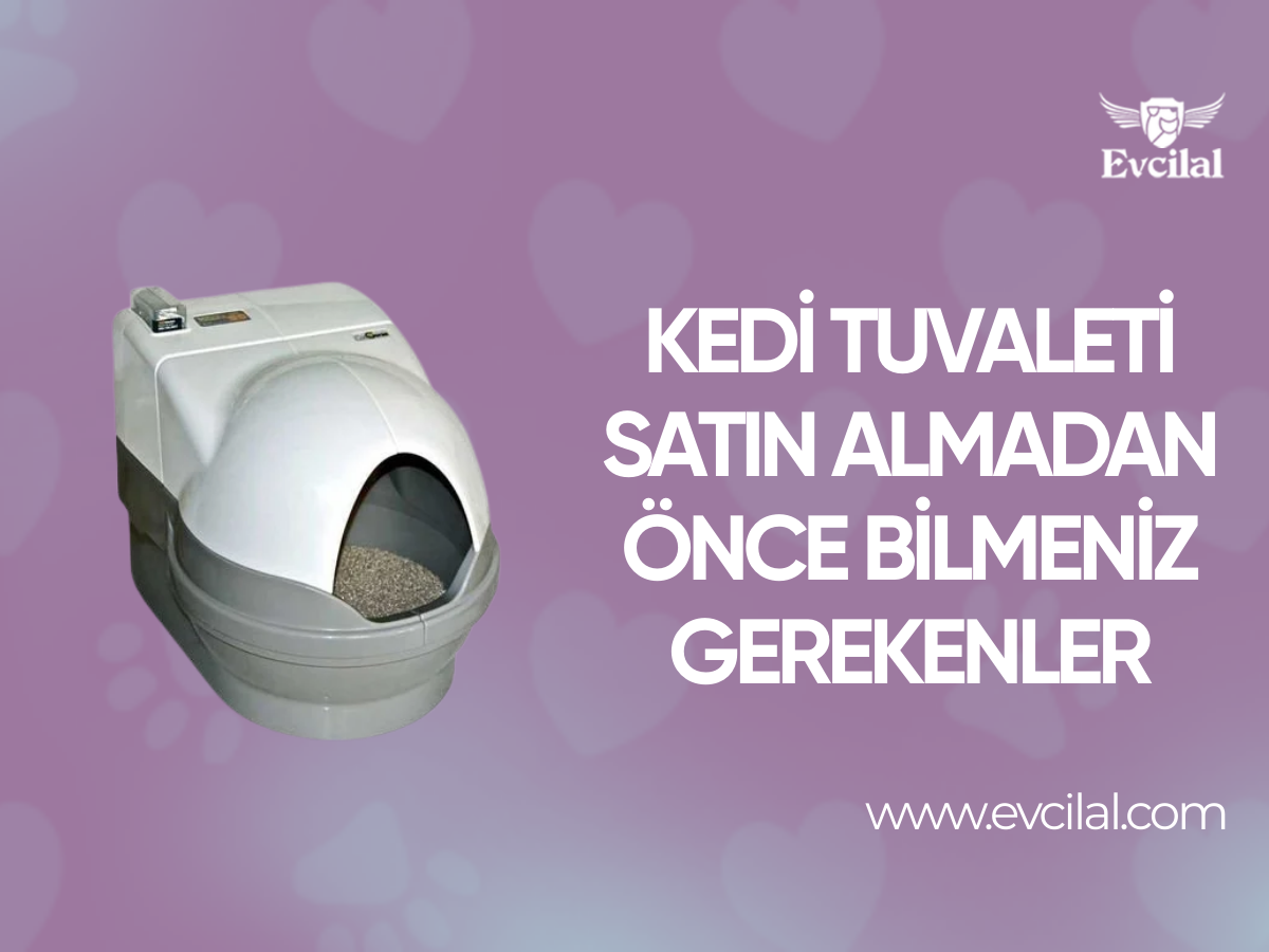 Kedi Tuvaleti Satın Almadan Önce Bilmeniz Gerekenler