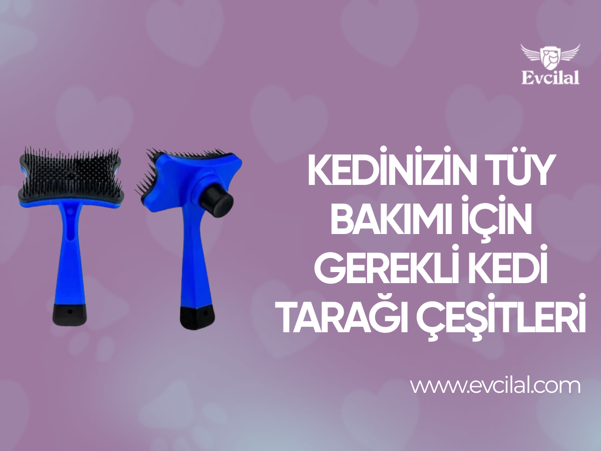 Kedinizin Tüy Bakımı İçin Gerekli Kedi Tarağı Çeşitleri