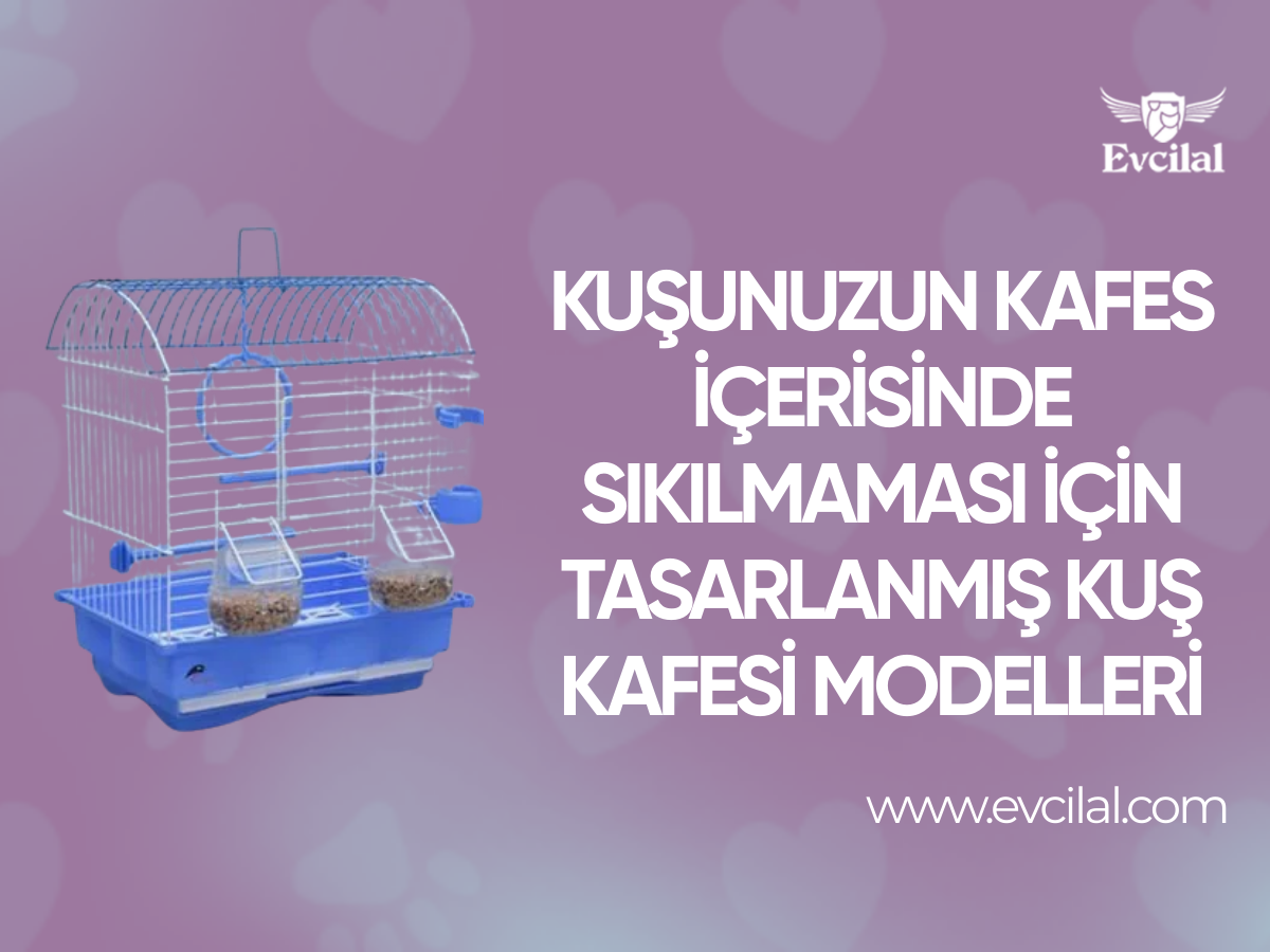 Kuşunuzun Kafes İçerisinde Sıkılmaması İçin Tasarlanmış Kuş Kafesi Modelleri