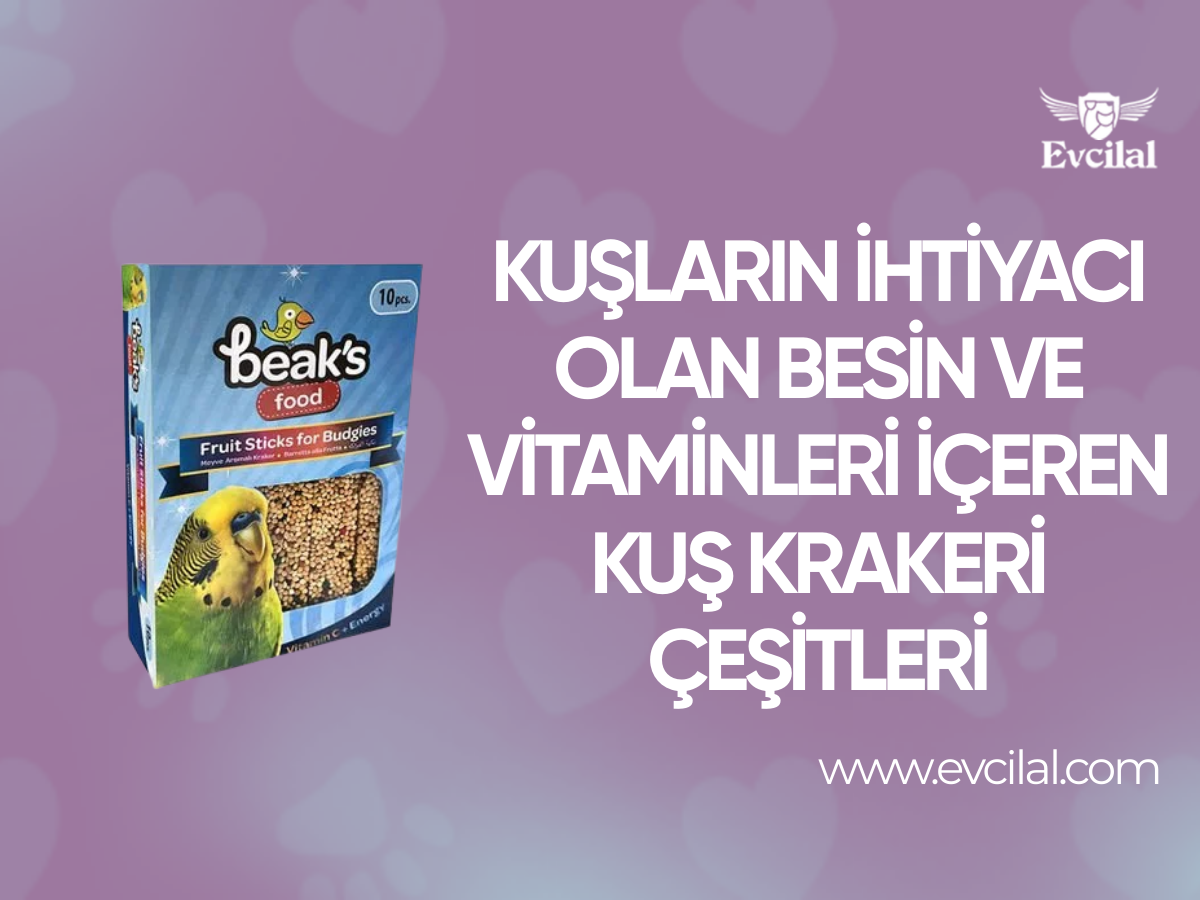 Kuşların İhtiyacı Olan Besin Ve Vitaminleri İçeren Kuş Krakeri Çeşitleri