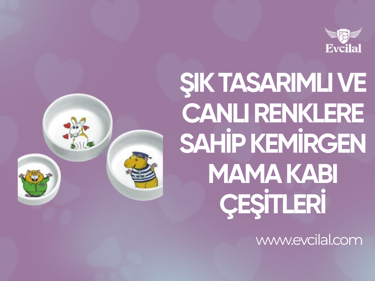 Şık Tasarımlı Ve Canlı Renklere Sahip Kemirgen Mama Kabı Çeşitleri