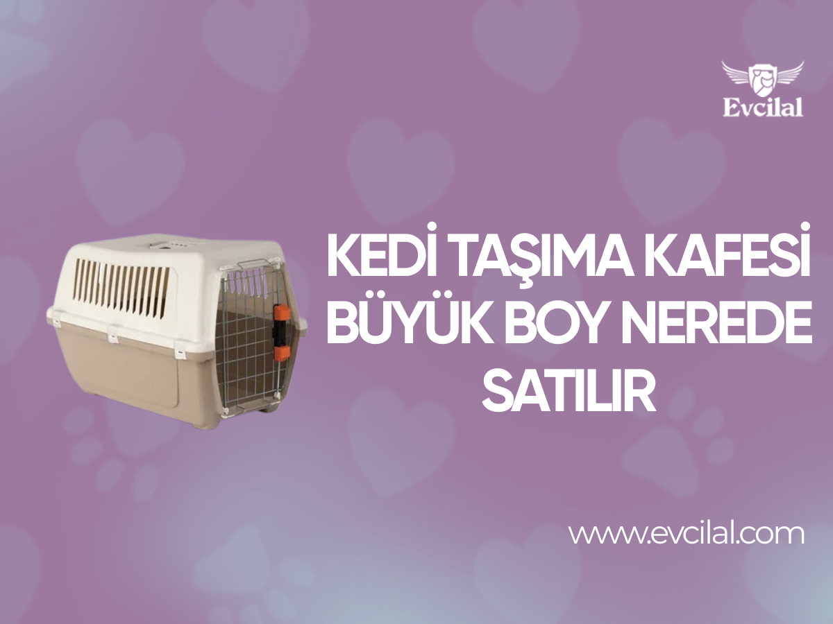 Kedi Taşıma Kafesi Büyük Boy Nerede Satılır