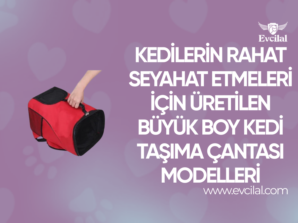 Kedilerin Rahat Seyahat Etmeleri İçin Üretilen Büyük Boy Kedi Taşıma Çantası Modelleri