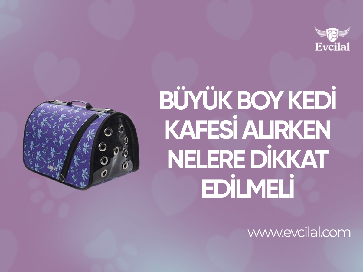 Büyük Boy Kedi Kafesi Alırken Nelere Dikkat Edilmeli