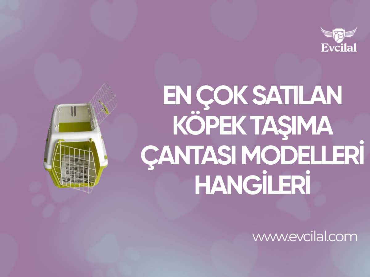 En Çok Satılan Köpek Taşıma Çantası Modelleri Hangileri