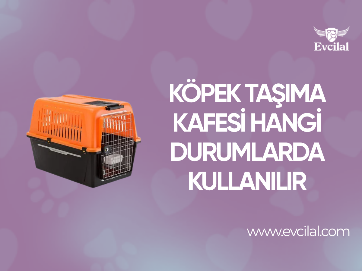 Köpek Taşıma Kafesi Hangi Durumlarda Kullanılır