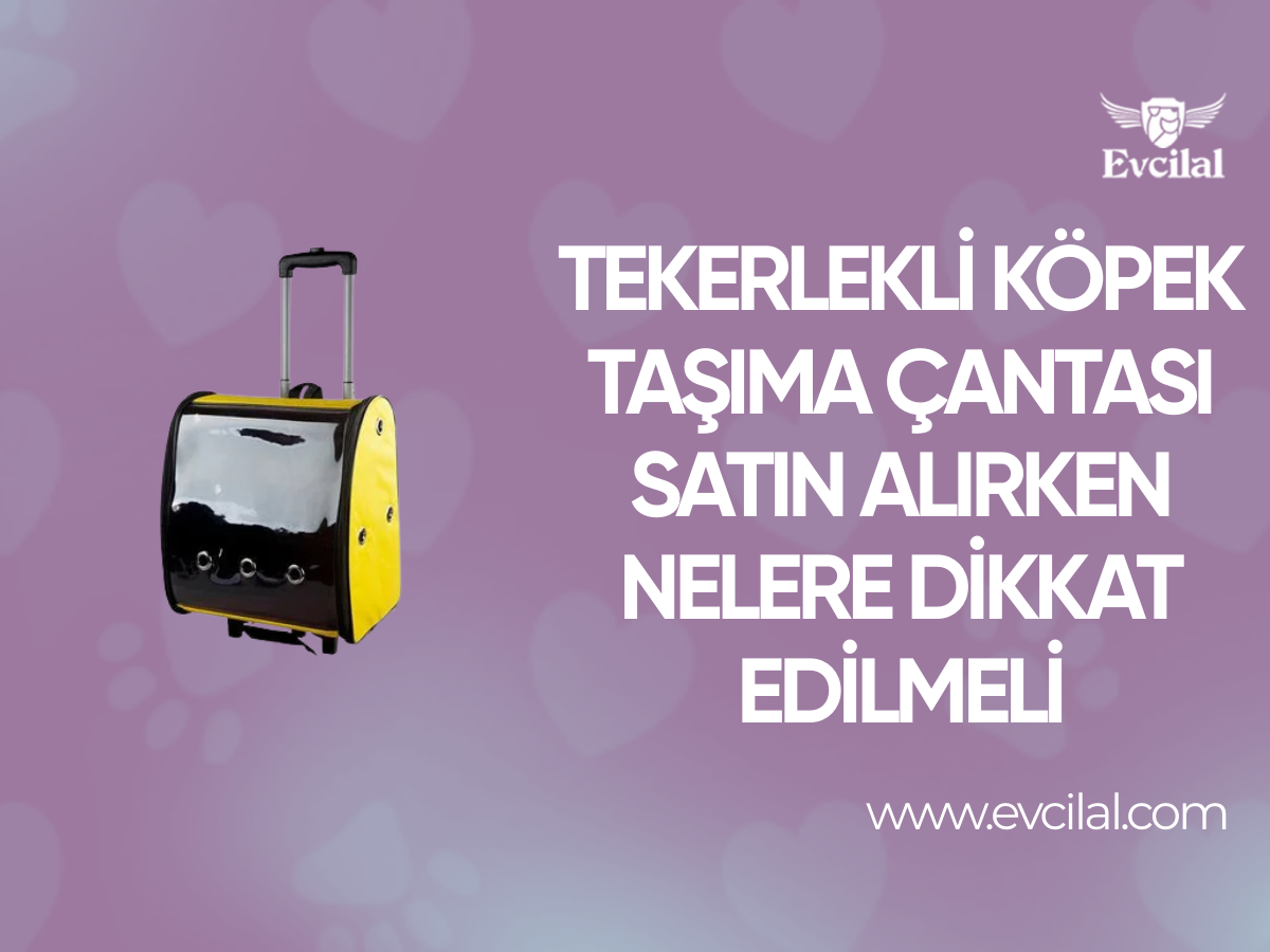 Tekerlekli Köpek Taşıma Çantası Satın Alırken Nelere Dikkat Edilmeli?